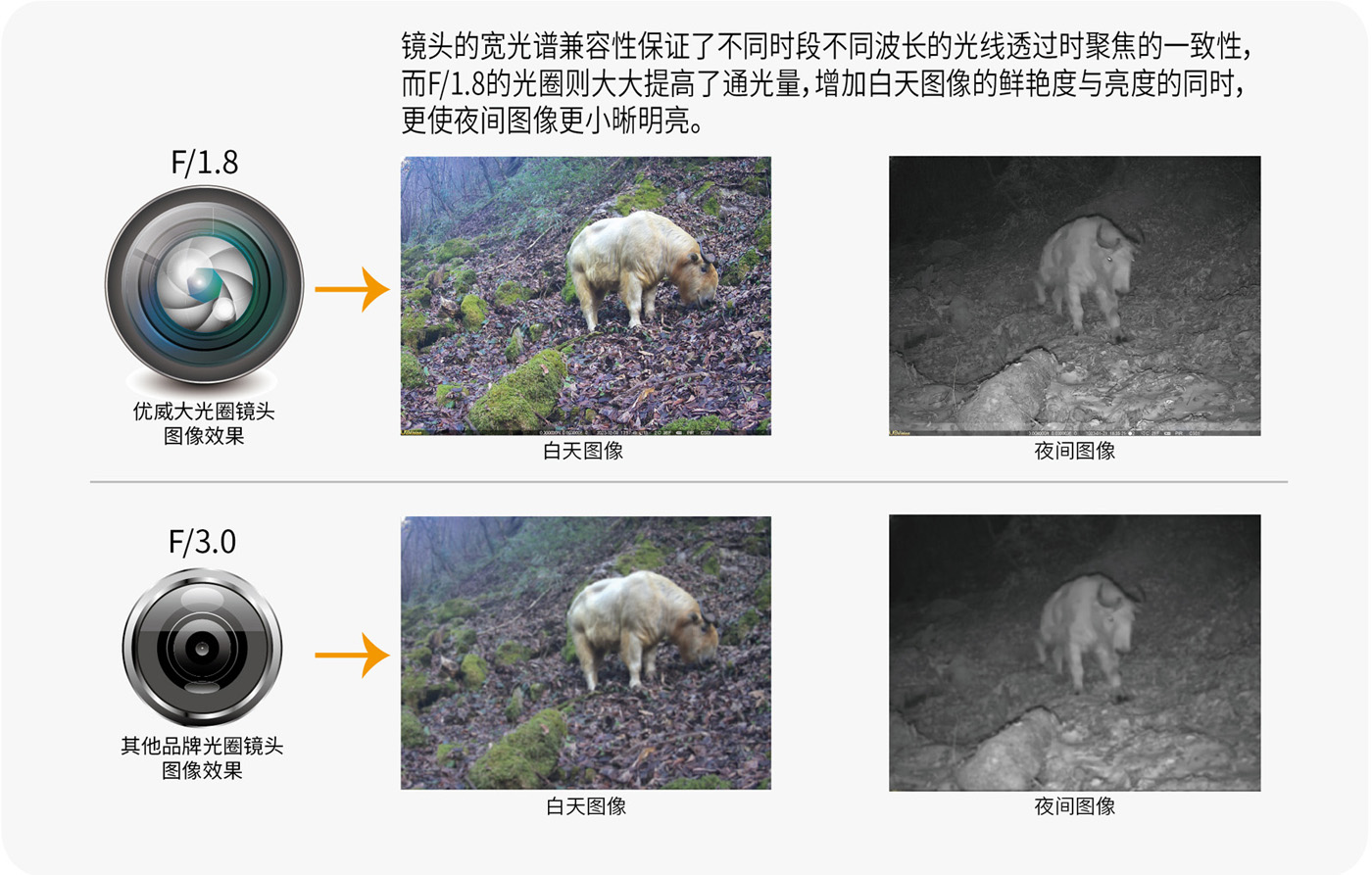 光圈鏡頭-01-01.jpg