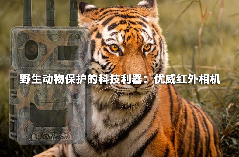 野生動物保護的科技利器：優威紅外相機