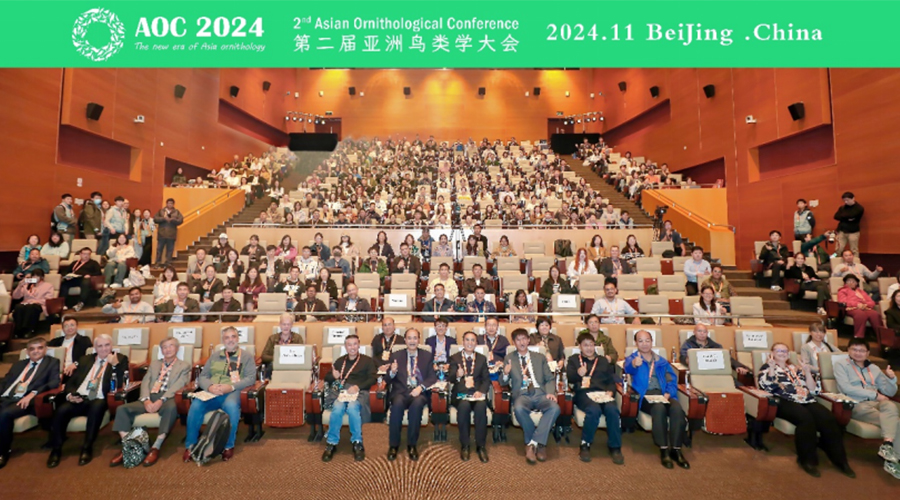 未標題-1.jpg