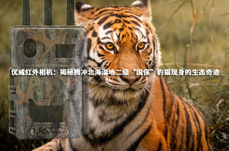 優威紅外相機：揭秘騰沖北海濕地二級“國?！北埇F身的生態奇跡