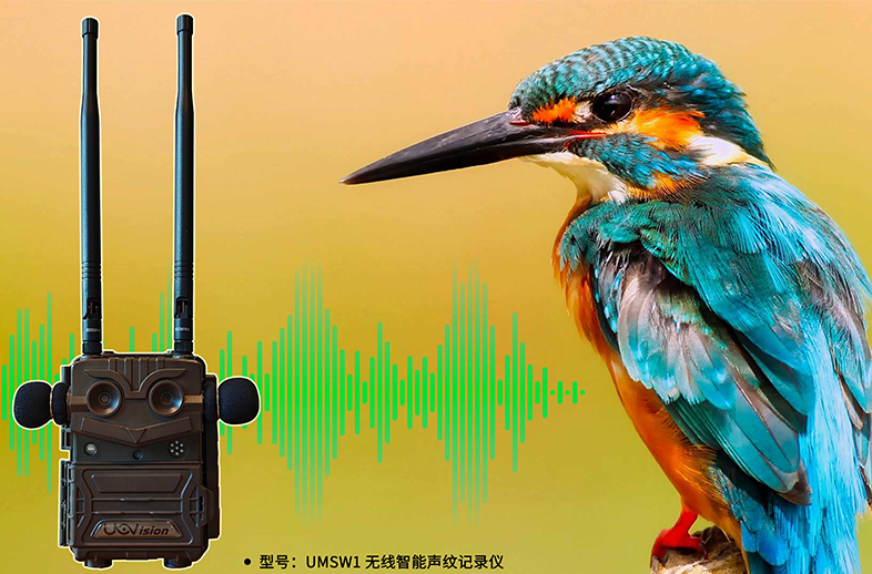 優威聲紋記錄儀：AI+聲紋技術如何重塑野生動物監測的邊界？