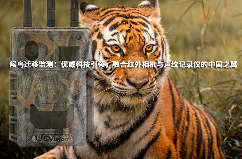 候鳥遷移監(jiān)測：優(yōu)威科技引領(lǐng)，融合紅外相機(jī)與聲紋記錄儀的中國之翼