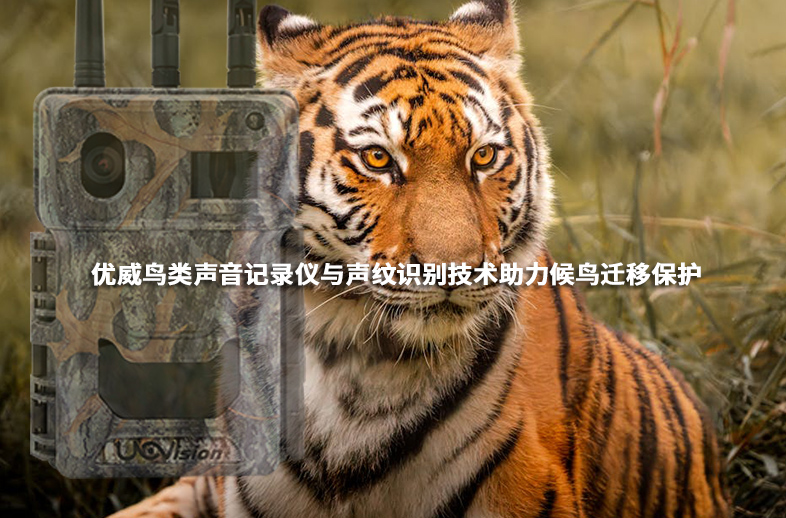 優(yōu)威鳥類聲音記錄儀與聲紋識別技術(shù)助力候鳥遷移保護(hù)